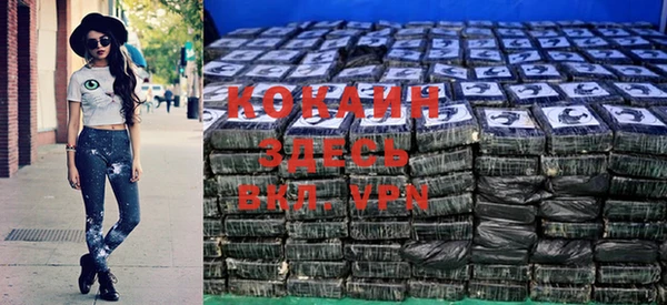 шишки Мамадыш