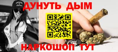 мдпв Кингисепп