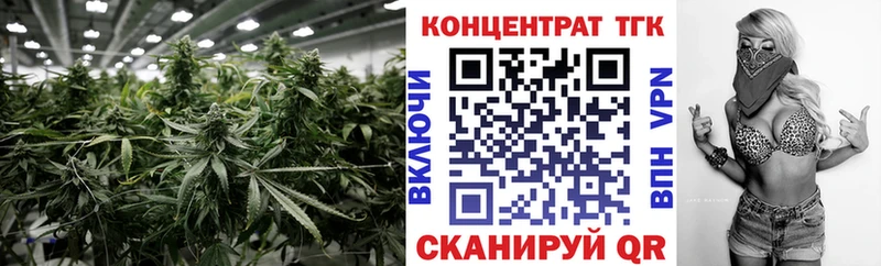 ОМГ ОМГ ССЫЛКА  Острогожск  ТГК THC oil  купить наркотики цена 