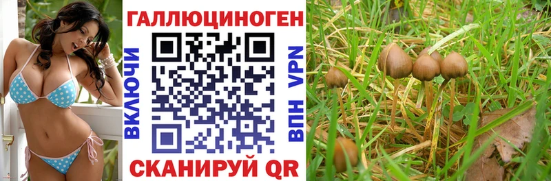 KRAKEN tor  Острогожск  Галлюциногенные грибы Magic Shrooms  где продают наркотики 