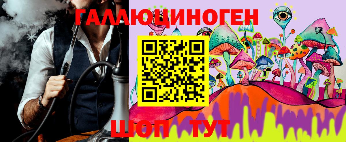 купить   Острогожск  Псилоцибиновые грибы Psilocybe 